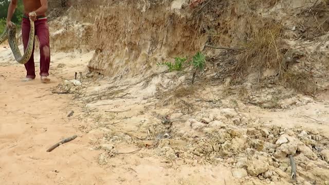 Primitive Cat's Mother Save & Protect Her Baby From Anaconda Attack – Anaconda VS Family Cat Home