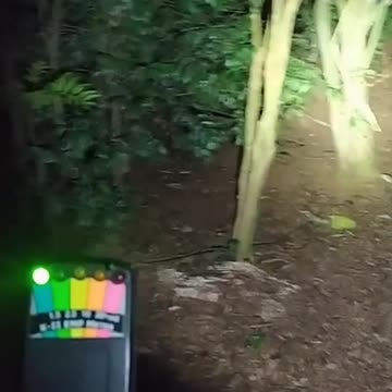 Fear, Ghost Apparition in Forest