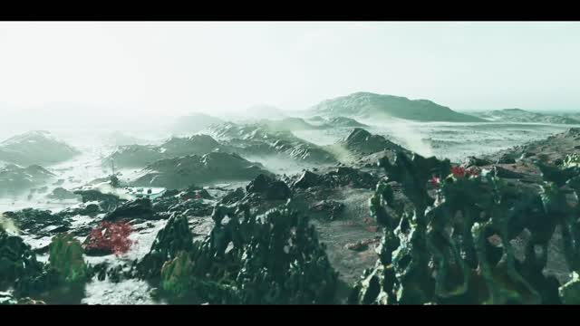 which showed many new details of the game