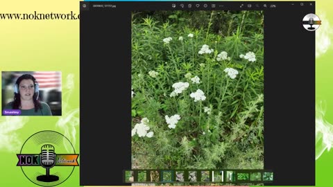 Power of plants with Smashley!