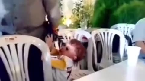 Handing Kid Loaded Gun At The Wedding