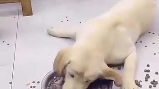 look at the despair