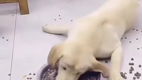 look at the despair