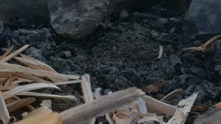 fire steel first try