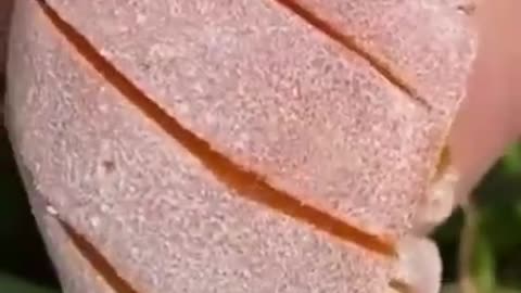 Oddly Satisfying Videos #satisfying #short #satisfyingvide