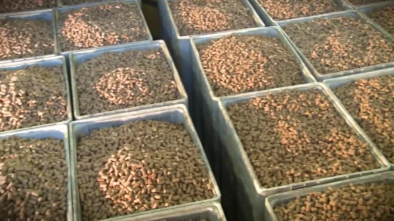 How It's Made Wine Cork - Harvesting 50 Million Cork Wine and Making Process in factory