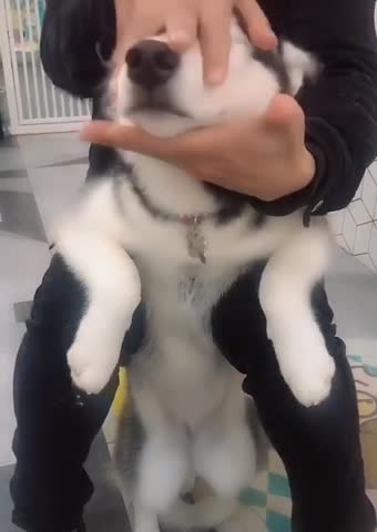 Master, leave me alone. ㅜ.ㅜ@@