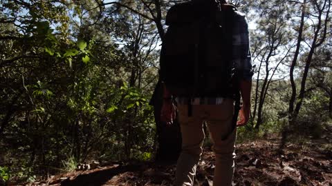 Man walking through forest