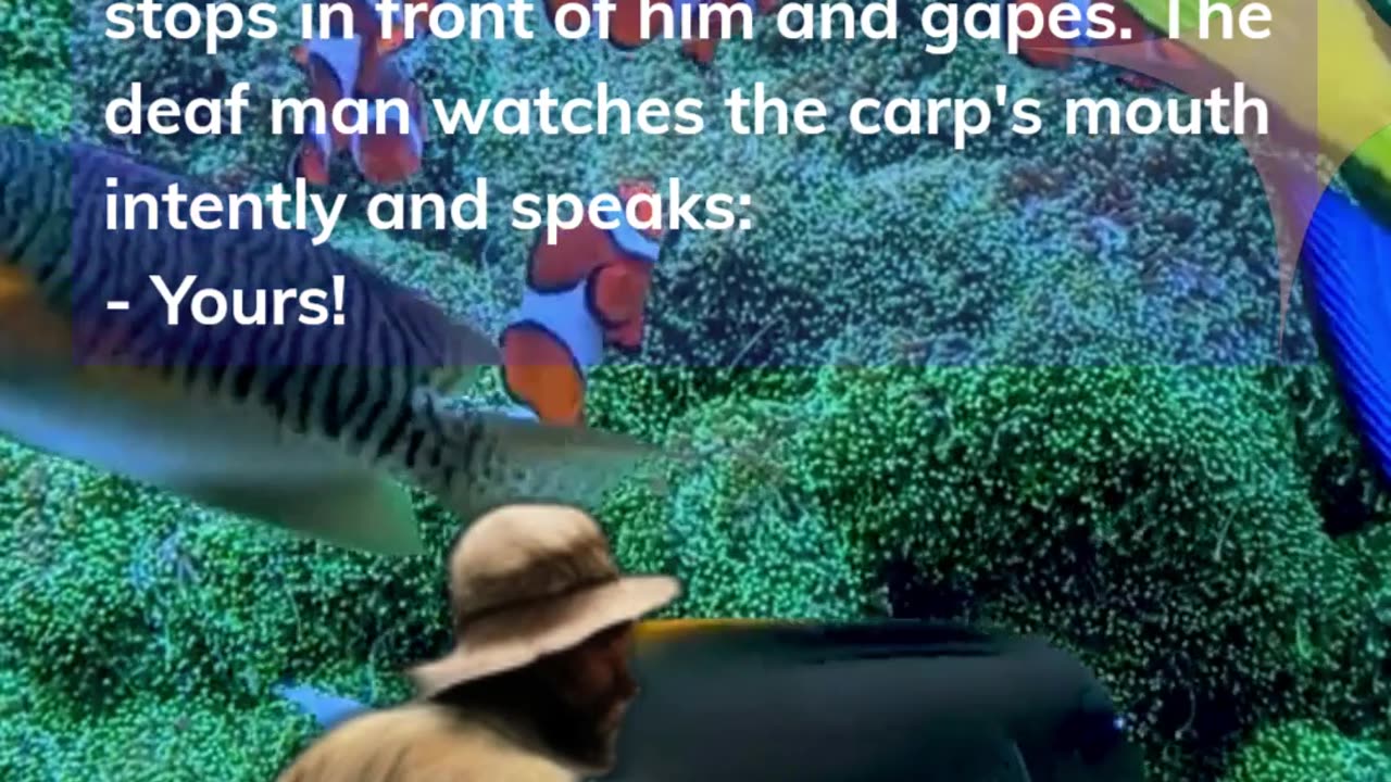 The deaf man goes to the butcher's. - #Cute New Funniest #Animals #Jokes Fish 2024