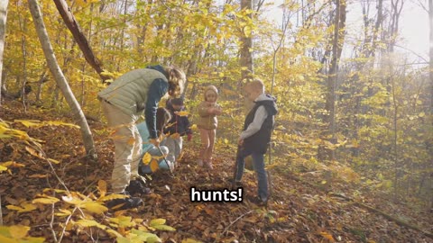 Autumn Adventures: 3 Fun Outdoor Activities!