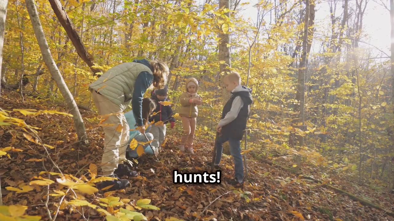 Autumn Adventures: 3 Fun Outdoor Activities!