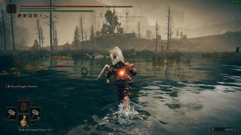 Elden Ring - Coop 8