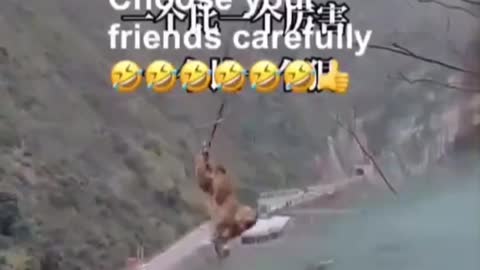 Choose friend wisely 😂