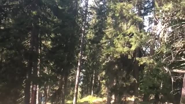 Slow motion dirt bike backflip hill fail