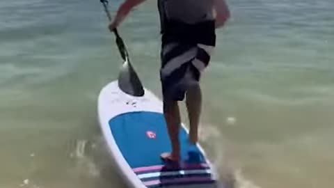 New Best Funny Video Clips 2021 P2