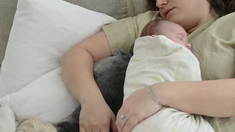 Mother and Child Sleeping Together with Their Dog