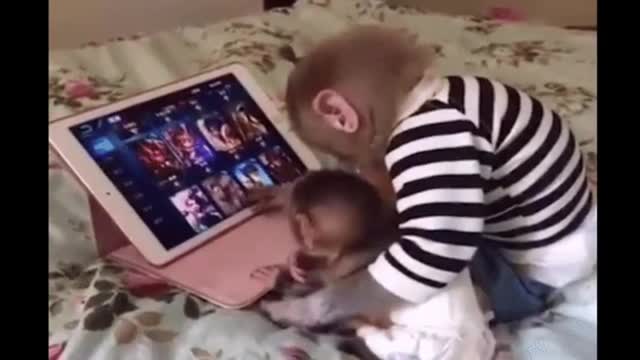Funniest Monkey -cute and funny Monkey video
