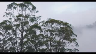 The beauty of nature, clouds and trees and Mountains
