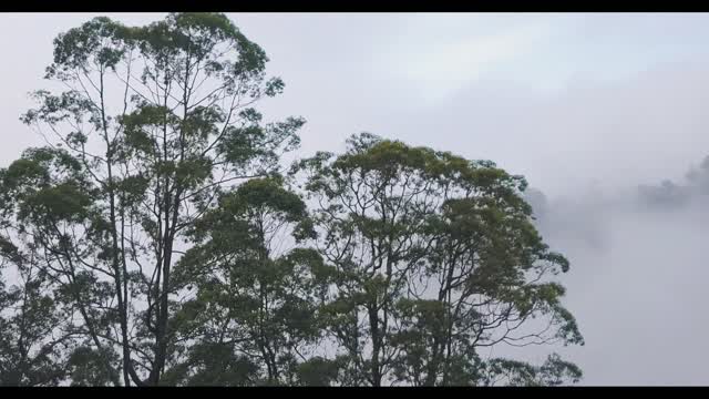 The beauty of nature, clouds and trees and Mountains