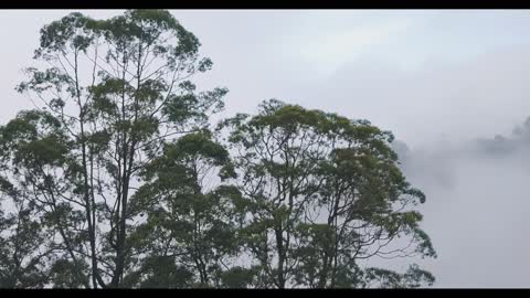 The beauty of nature, clouds and trees and Mountains