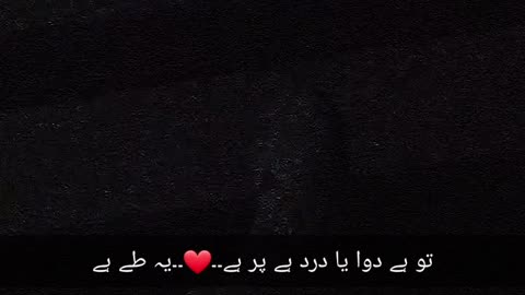 Tay haai 💗