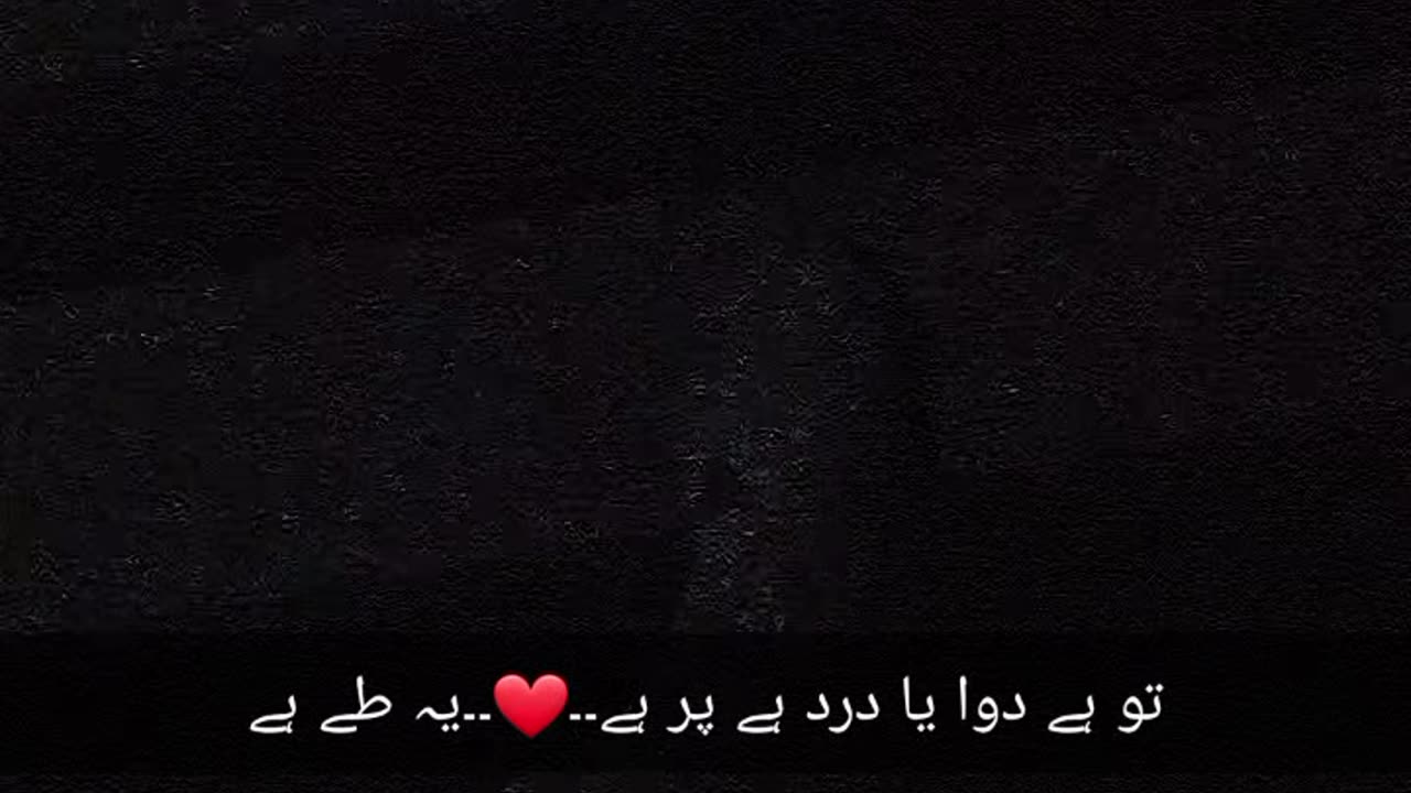 Tay haai 💗