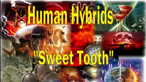 Human Hybrids - Sweet Tooth