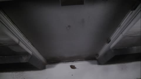 0921USCG00HT18Exterior_2021-01-06_02h20min01s157ms.mp4