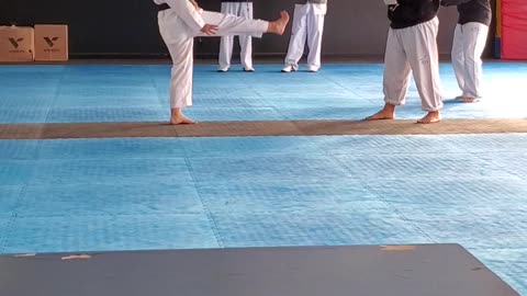 Taekwondo Board Breaking