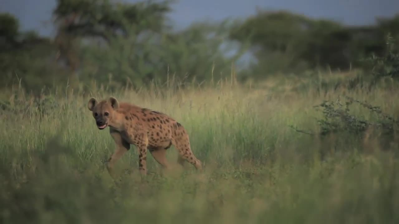 Ethiopia's nature beauty