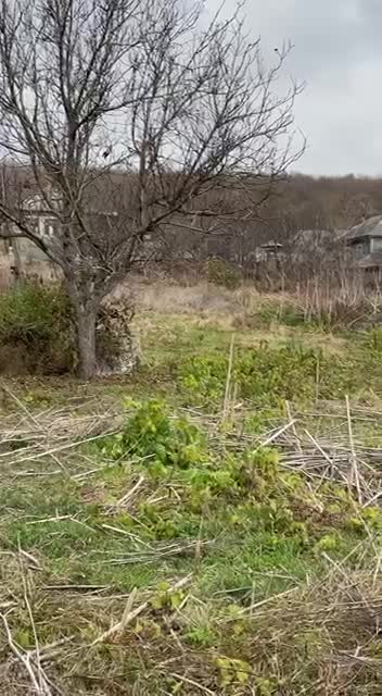 Civilizația rurală in extincție (3)