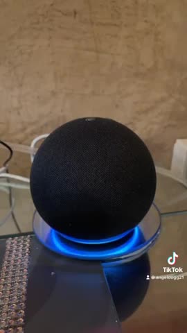 Alexa- When are the zombies coming