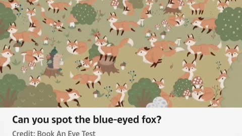 Can You Spot Blue Eye'D Fox ?