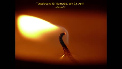 Tageslosung für Samstag, den 23. April