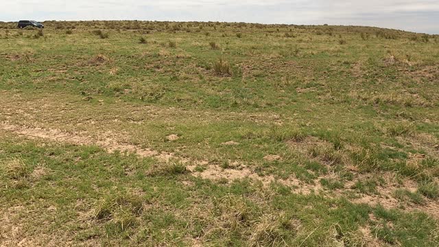 Santa Fe Trail Remnants