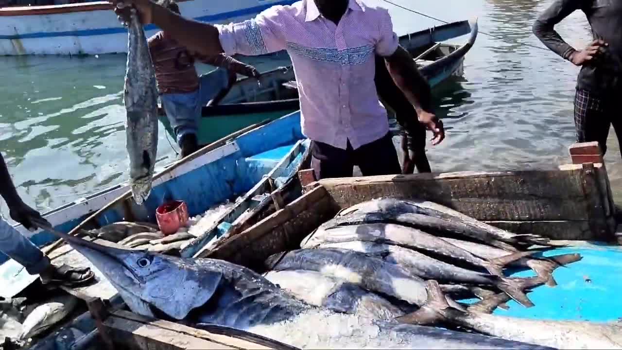 Big Fish Catching || Amazing GholFish || Deep sea in Gujarat fishing Boat ||-1