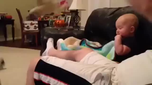 nuts and funny animal compilation video clips 2014(360P)
