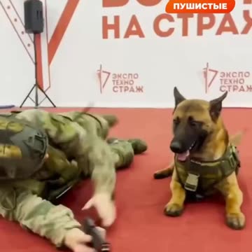 Russian guard soldier and his dog