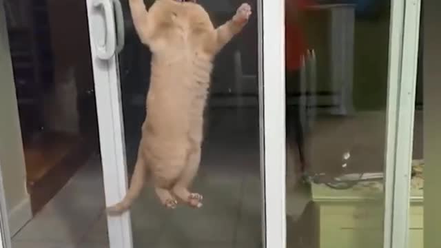 Did you seen before
