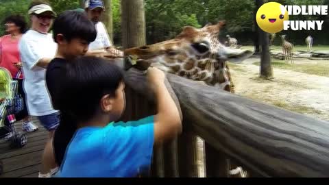 FFunniest fails in the zoo! TRY NOT TO LAUGH COMPILATION salschicha