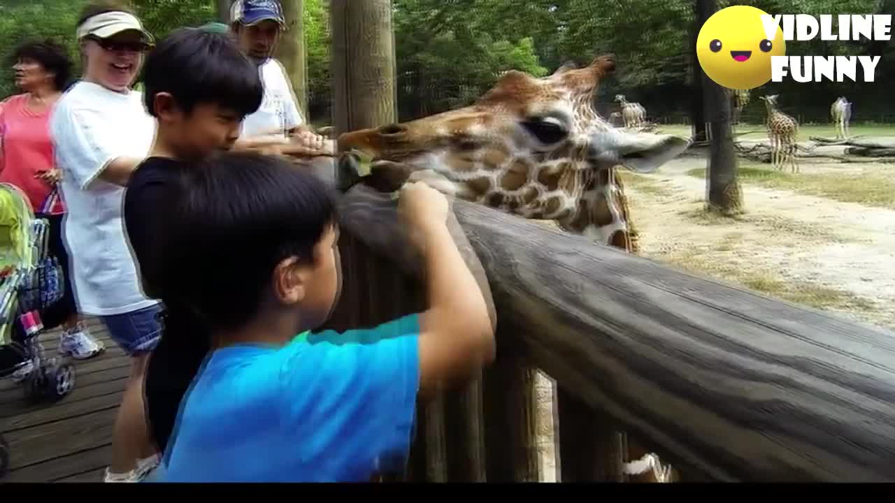 FFunniest fails in the zoo! TRY NOT TO LAUGH COMPILATION salschicha