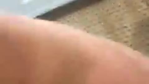 Wow Luciferase is so cool!