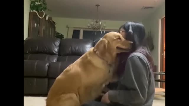 Unbelievable!!! Funny Dog Videos Try Not To Laugh π¦΄ππΆβοΈ11