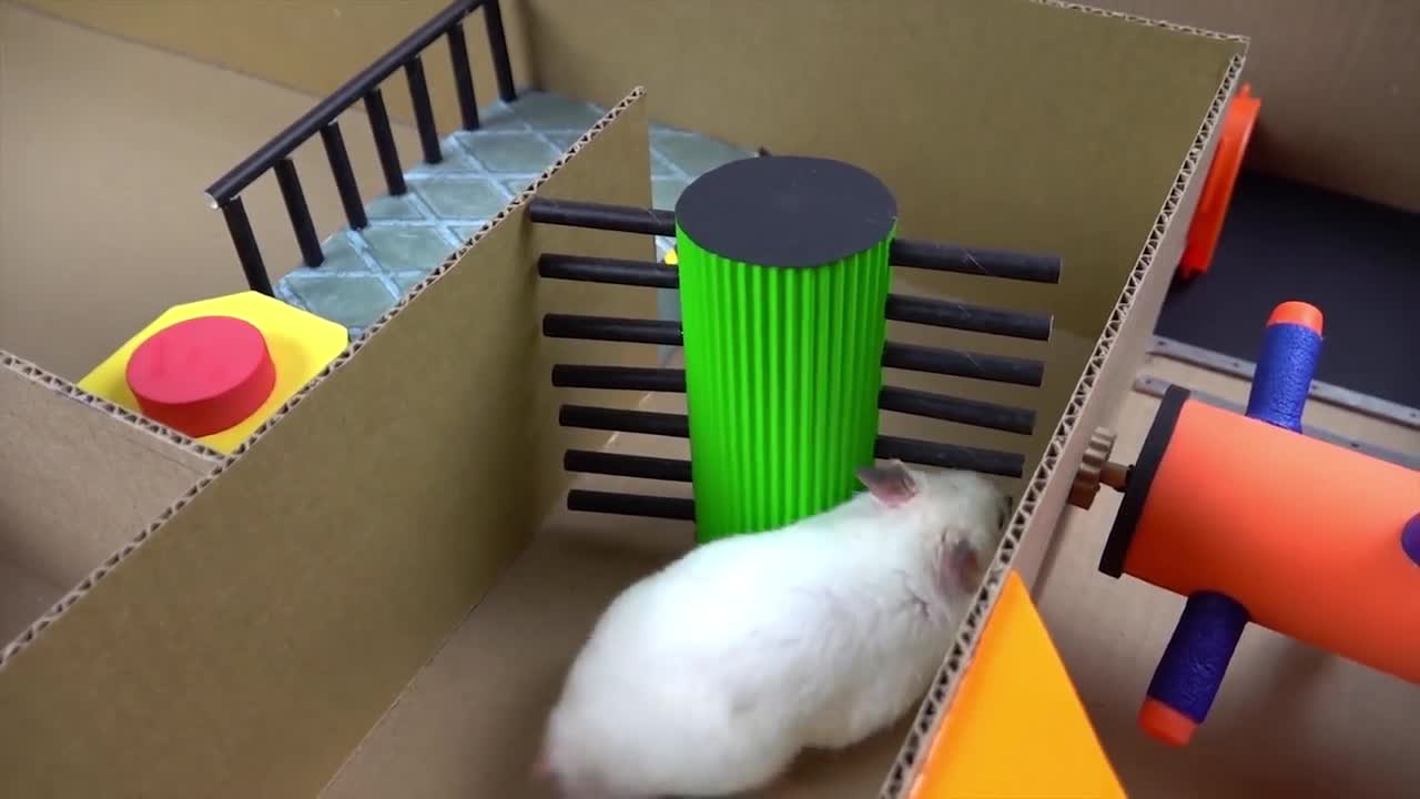 See the little hamster handling obstacles