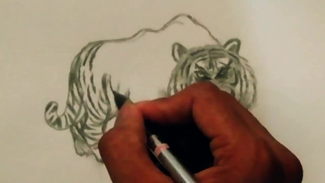 🔶Easy Drawing Techniques || Tiger Drawing #tiger #tigerdrawing #sketch