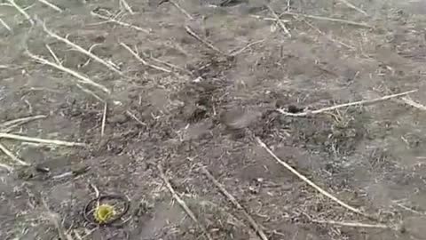 Ukraine War - Russian Armed Forces destroyed the 155-mm self-propelled guns AHS Krab