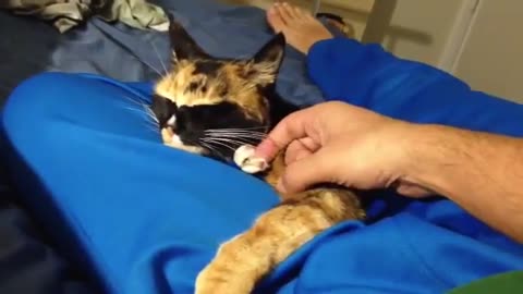 Me and Malak the Cat in bed
