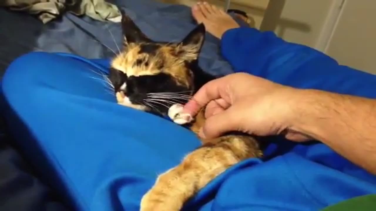Me and Malak the Cat in bed