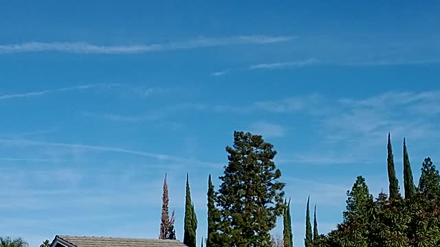 Chemtrail Contrails December 16, 2020