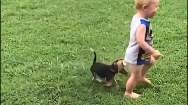 amazing the love between child and animal, look at how the dog takes care of the baby